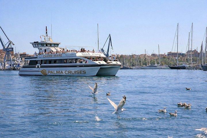 5-hours Palma Catamaran Cruise