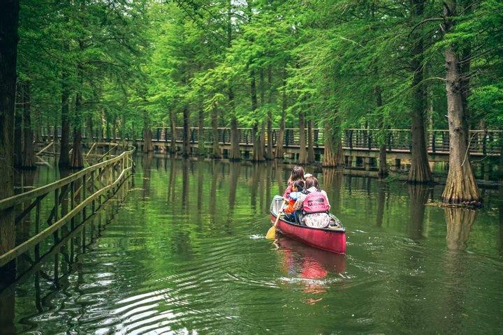 Shanghai Chongming Island Wetland and Water Forest Excursão de canoagem