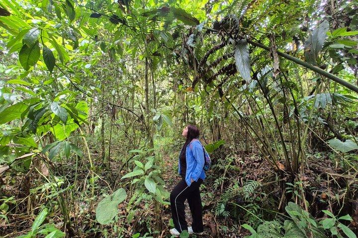Tour por la Reserva Natural de Barbas Bremen