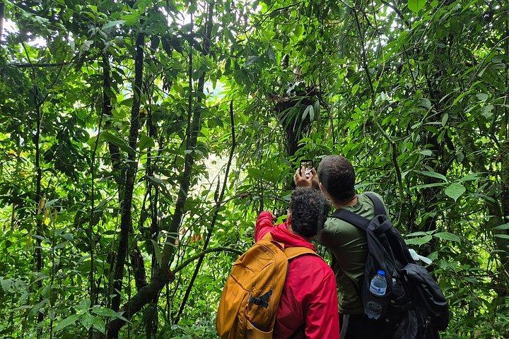 Barbas Bremen Nature Reserve Tour