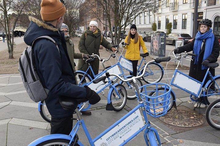 Copenhagen: Small Group E-bike Tour With Local Guide