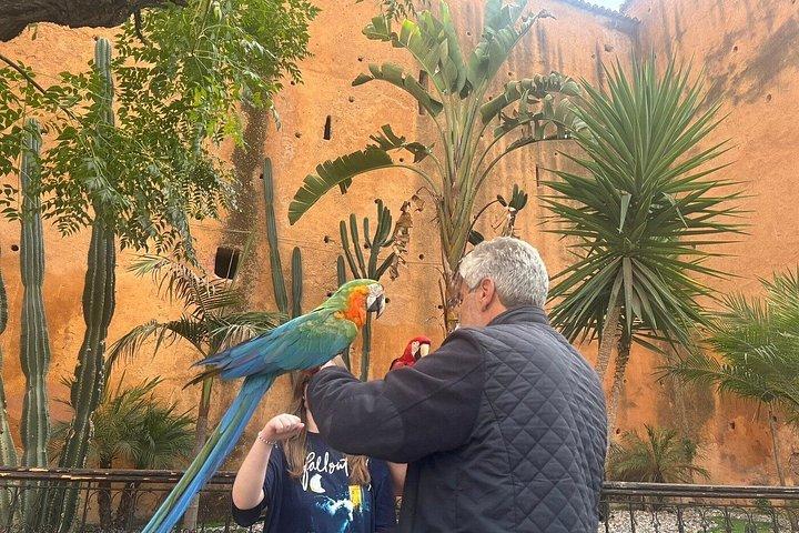 Blue Cite Walking Tour-Hidden Alleys & Local Secrets with Guide