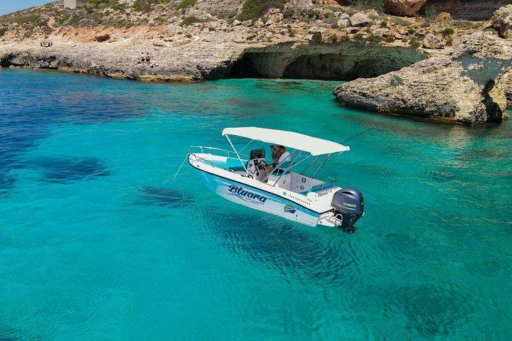 Comino, Laguna Blu e Gozo Gite in barca privata