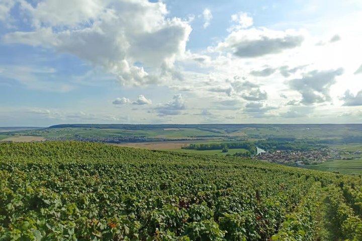 4つのテイスティング、ランス＆セラー付きパリ発シャンパン日帰り旅行