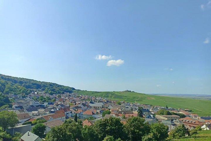 パリ発プライベートシャンパーニュ日帰り旅行7つのテイスティング＆ランチ付き
