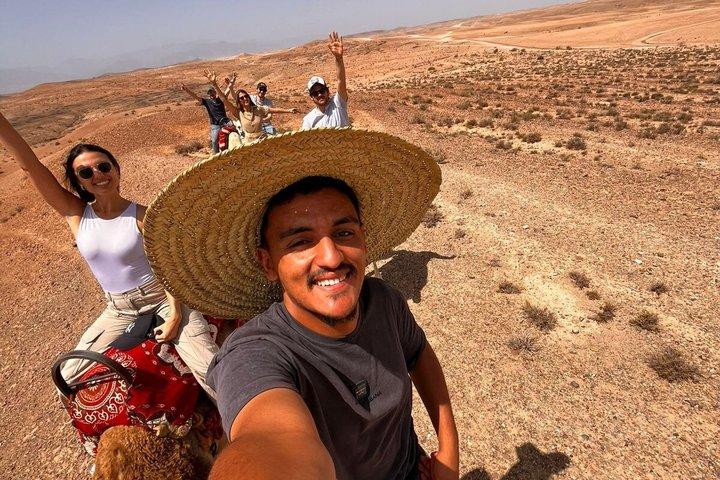 Atlas Mountains Tour from Marrakech: Camel Ride & Berber Lunch
