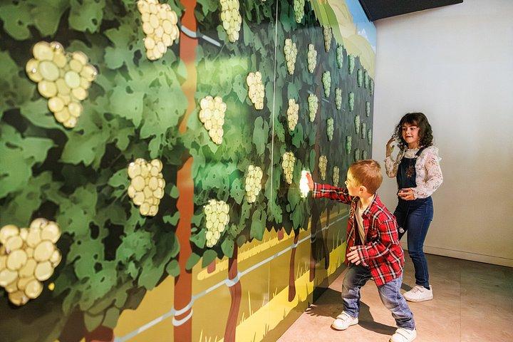 Colmar : Inside Vino Storia アルザスワインの歴史を巡る旅