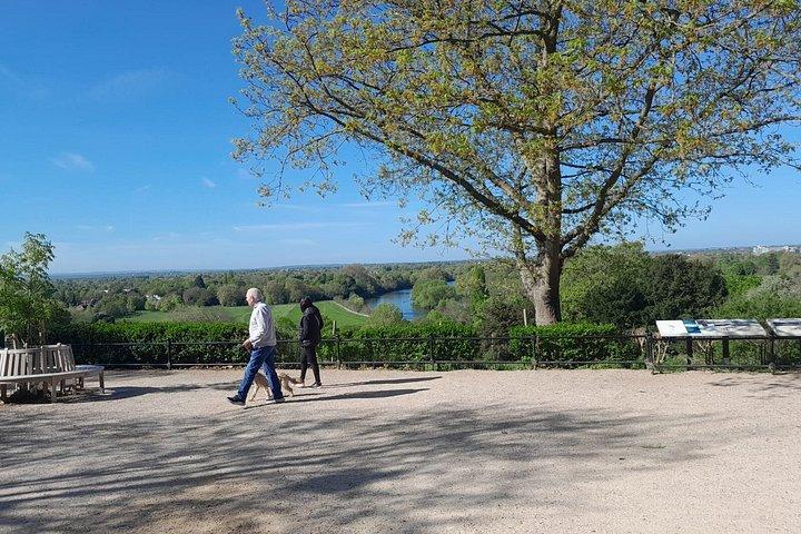 ロンドンからサンベリー骨董市場とテッド・ラッソのリッチモンド
