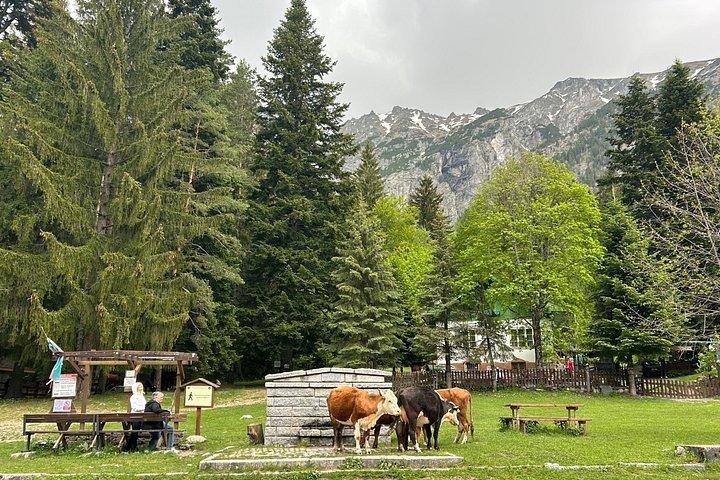 From Sofia: Rila Monastery, St. Ivan Cave & Alpine Picnic Tour