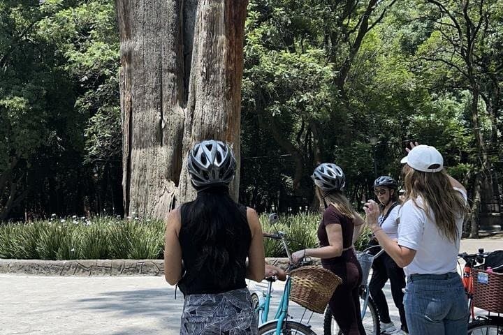 Bike Tour in Mexico City