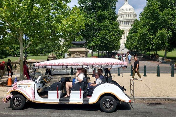 Washington DC : Einfache Besichtigungstour mit E-Warenkorb