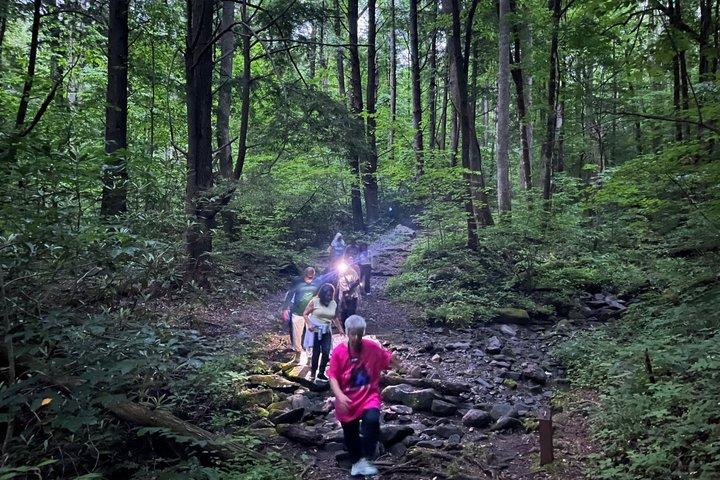 Great Smoky Mountains Rare Synchronous Firefly Waterfalls Walk