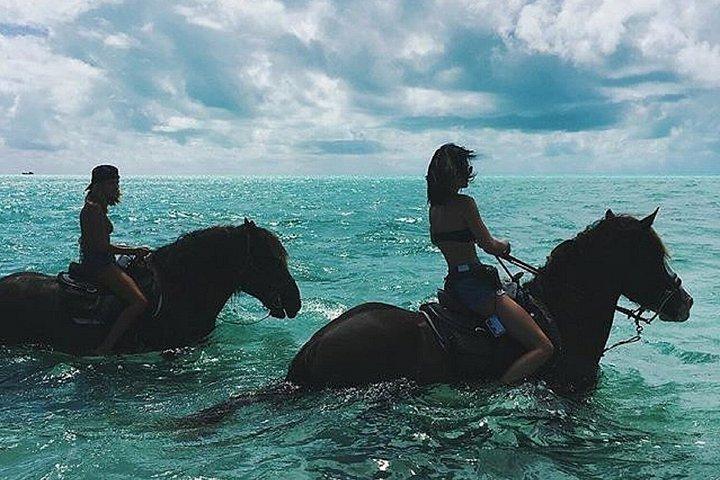 Bali Horse Riding Sunset
