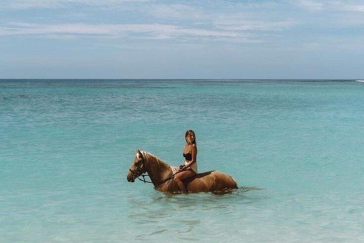 Bali Horse Riding Sunset