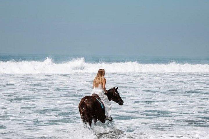 Bali Horse Riding Sunset