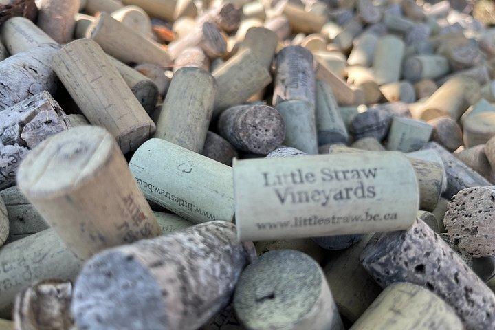 Anmeldelse af West Kelowna Wine Tour
