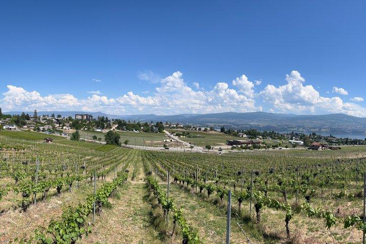 Anmeldelse af West Kelowna Wine Tour