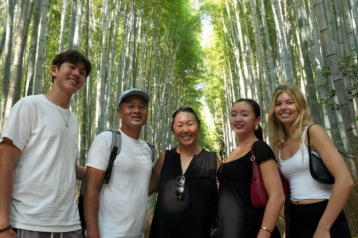 Visite privée d'une journée des points forts d'Arashiyama et de Nara