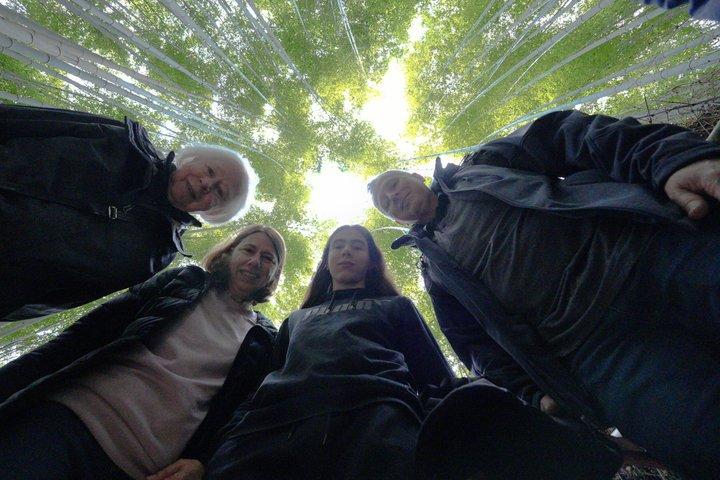 Visite privée d'une journée des points forts d'Arashiyama et de Nara