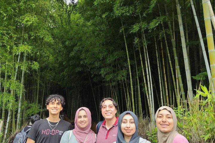 Visite privée d'une journée des points forts d'Arashiyama et de Nara