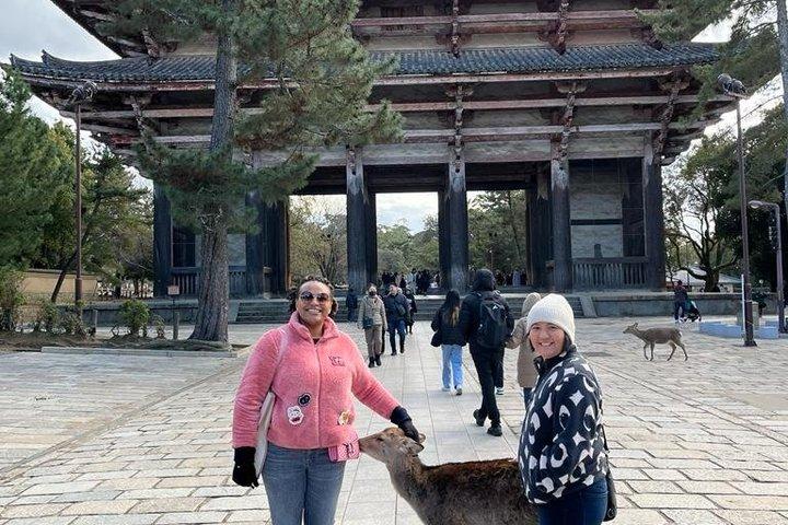 Visite privée d'une journée des points forts d'Arashiyama et de Nara