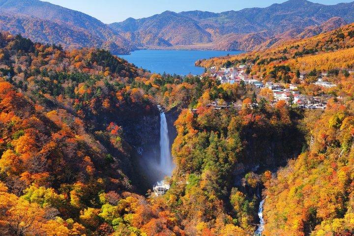 東京発日光世界遺産プライベートツアー