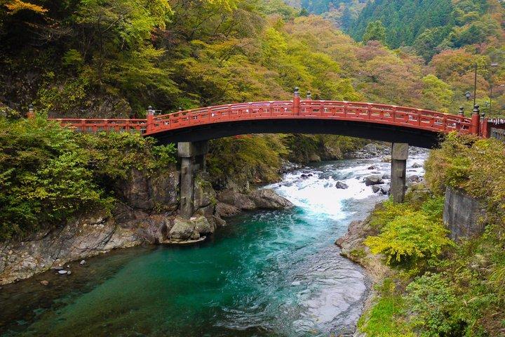 東京発日光世界遺産プライベートツアー