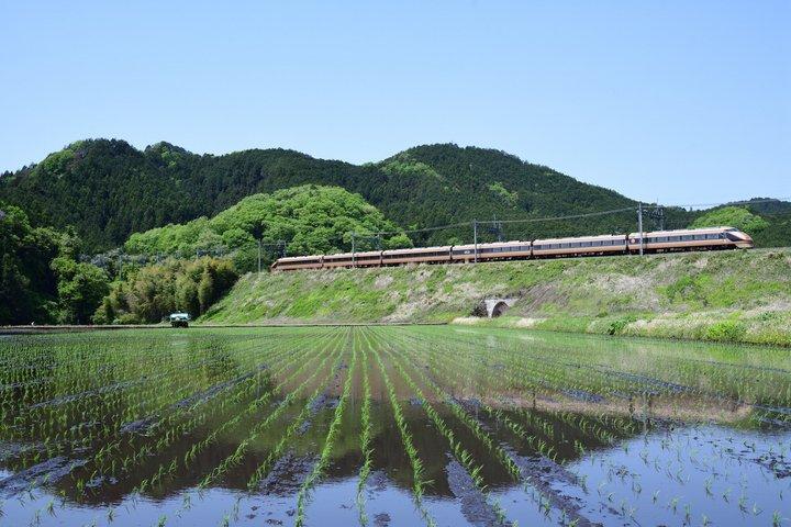 東京発日光世界遺産プライベートツアー