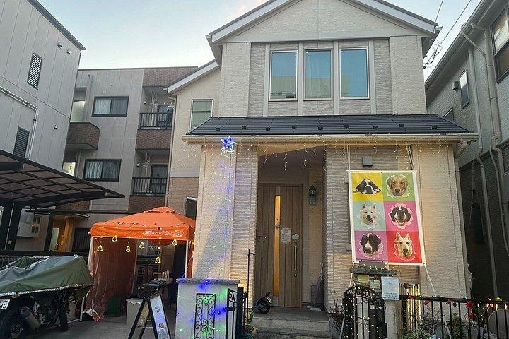 東京の大型犬カフェほっとひと犬