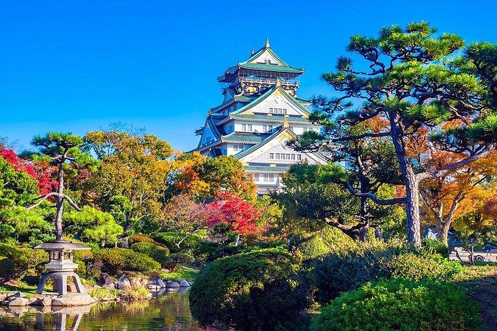 大阪の伝統とポップカルチャー 地元民とのプライベートツアー