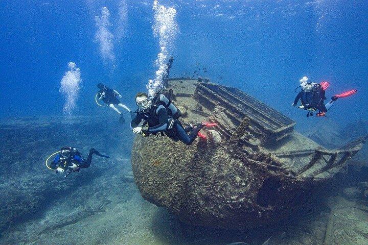 Guided 2-Dive Scuba Trip in South Tenerife