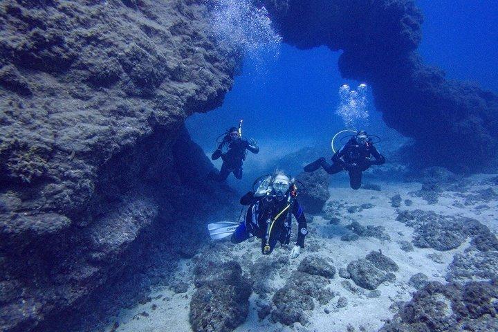 Guided 2 - Excursion plongée sous-marine à Tenerife Sud