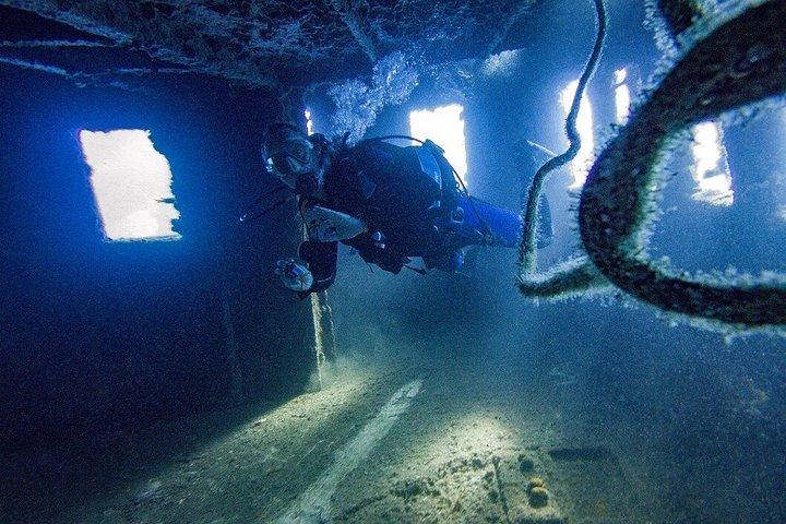 Guided 2-Dive Scuba Trip in South Tenerife