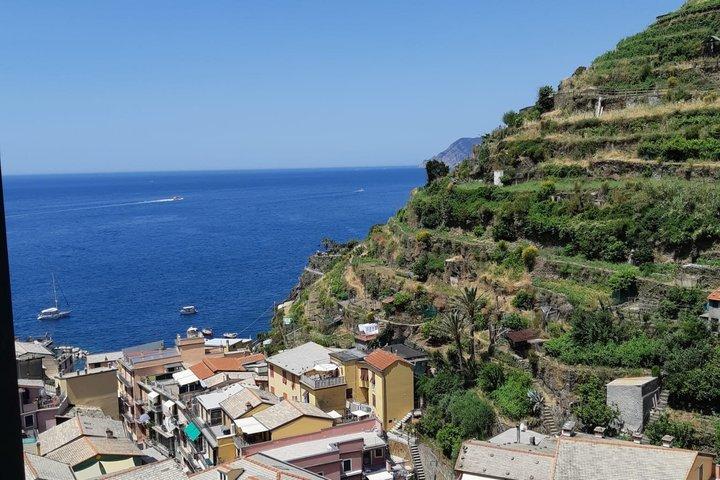 Cinque Terre in the Morning with Manarola Vernazza and Wine