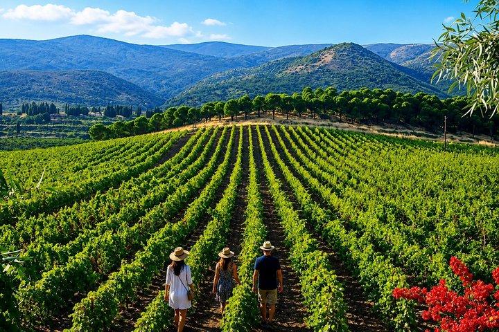 Private Full-Day Wine Tasting Tour from Beirut