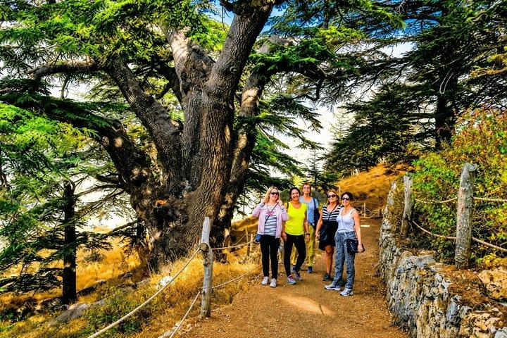 5-Day Highlights of Lebanon Tour from Beirut with Pickup