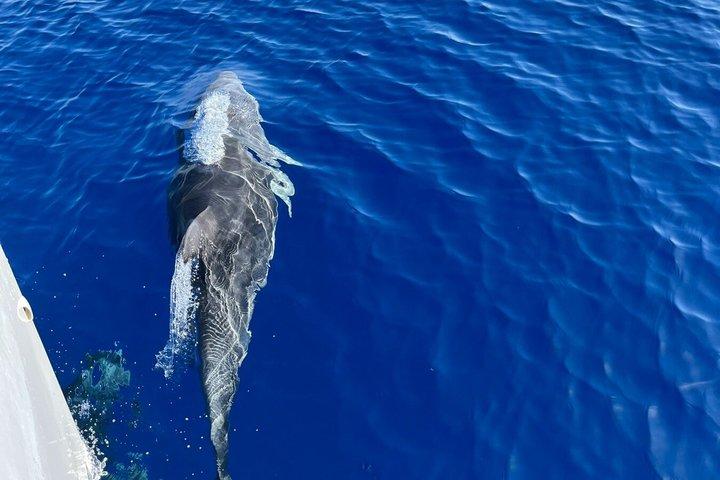 Heraklion till Grekland Privat segelbåt erfarenhet