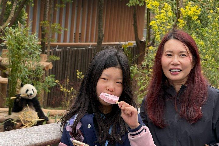 Visite privée d'une journée : Chengdu Giant Panda & Leshan Giant Buddha