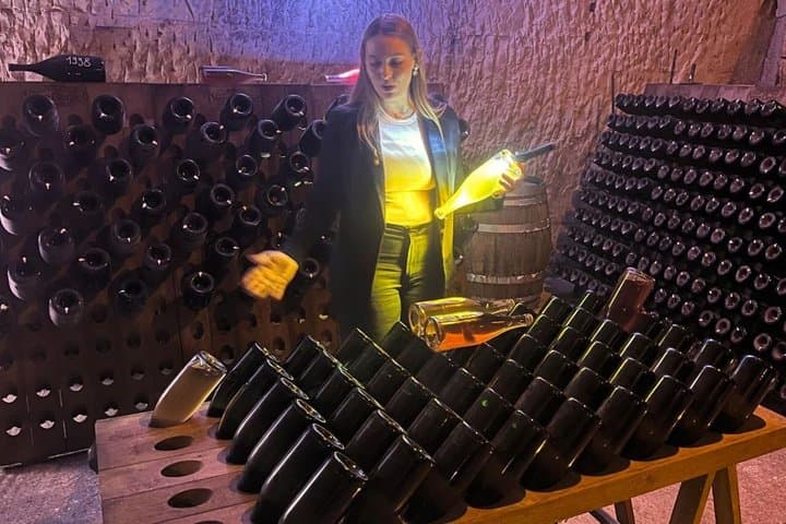Champagne Day Trip from Paris with 7 Tastings Prestigious Houses