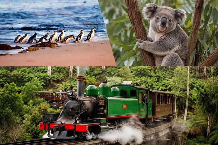 Puffing Billy Phillip Island & Zoo Recogida en el hotel para grupos pequeños