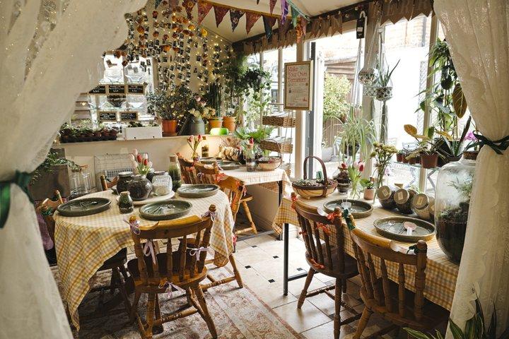 Terrarium Making Experience i Cirencester