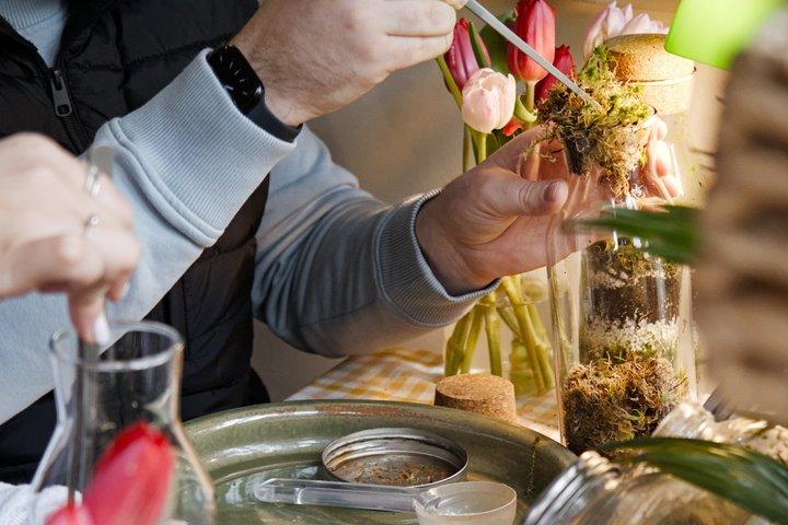 Terrarium Making Experience i Cirencester