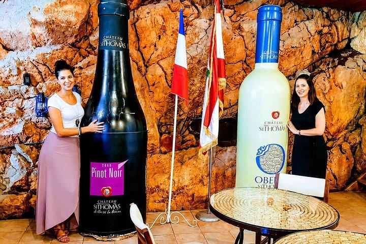 Private Wine Tasting Day Tour from Beirut