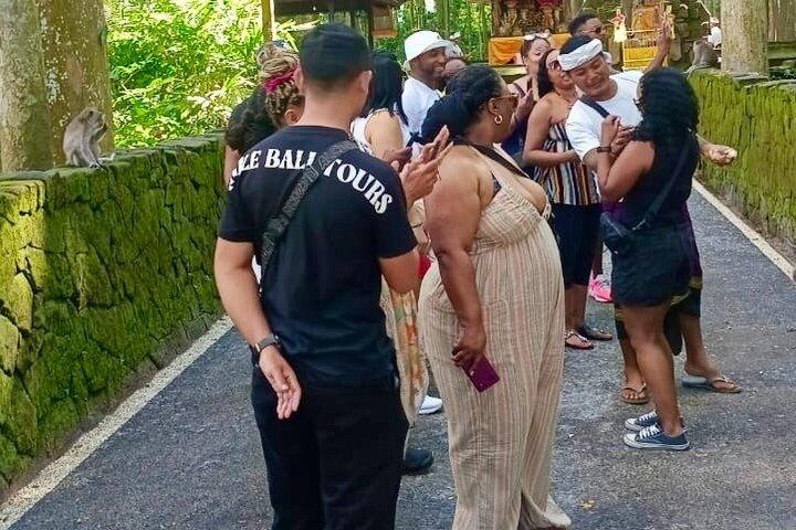Ubud: Monkey Forest, Jungle Swing, Terrazza di riso e Tempio dell'acqua