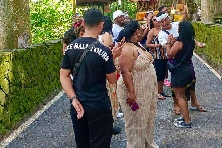 Visite d'Ubud : Visite guidée de Bali avec Guide et tout compris