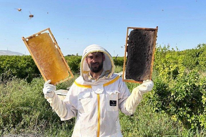 ヨルダン8日間ツアーペトラ・ワディ・ラムと死海アンマン発