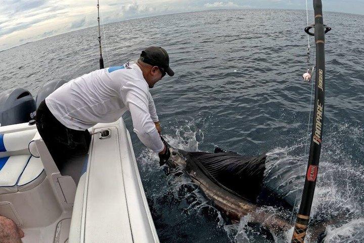 Privat sportsfiskeri – 27ft Proline | Sydperleøerne
