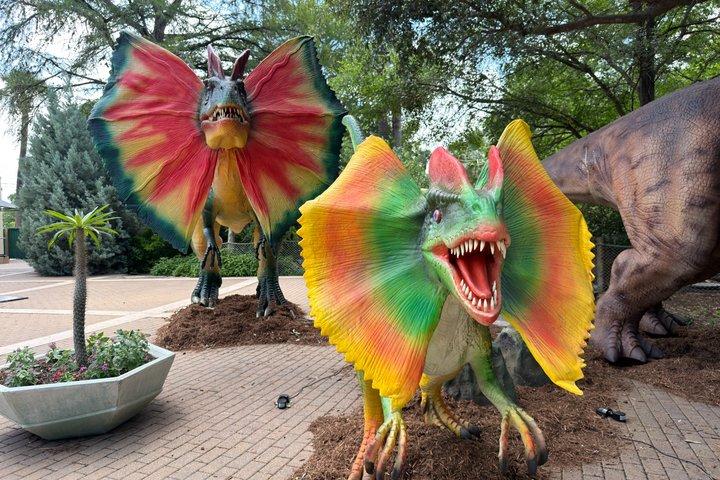 Algemeen toegangsbewijs San Antonio Zoo