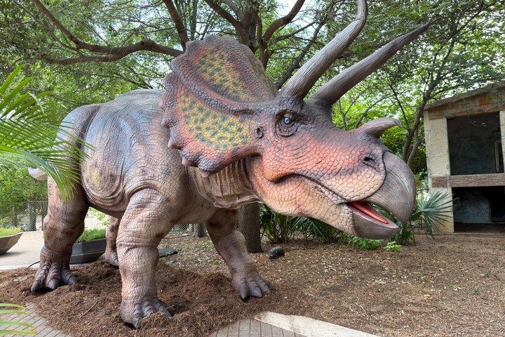 Algemeen toegangsbewijs San Antonio Zoo