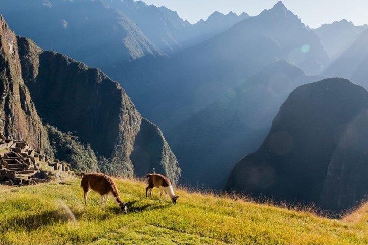 Tour Machu Picchu Full Day desde Cusco